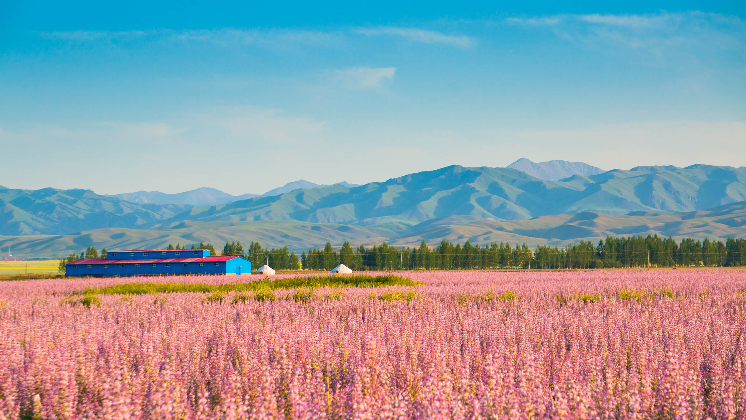北疆大環線 夏季新疆最美自駕路線，一覽北疆絕色風光
